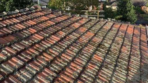 terracotta tile roof restoration pic 9 1 e1588151044152