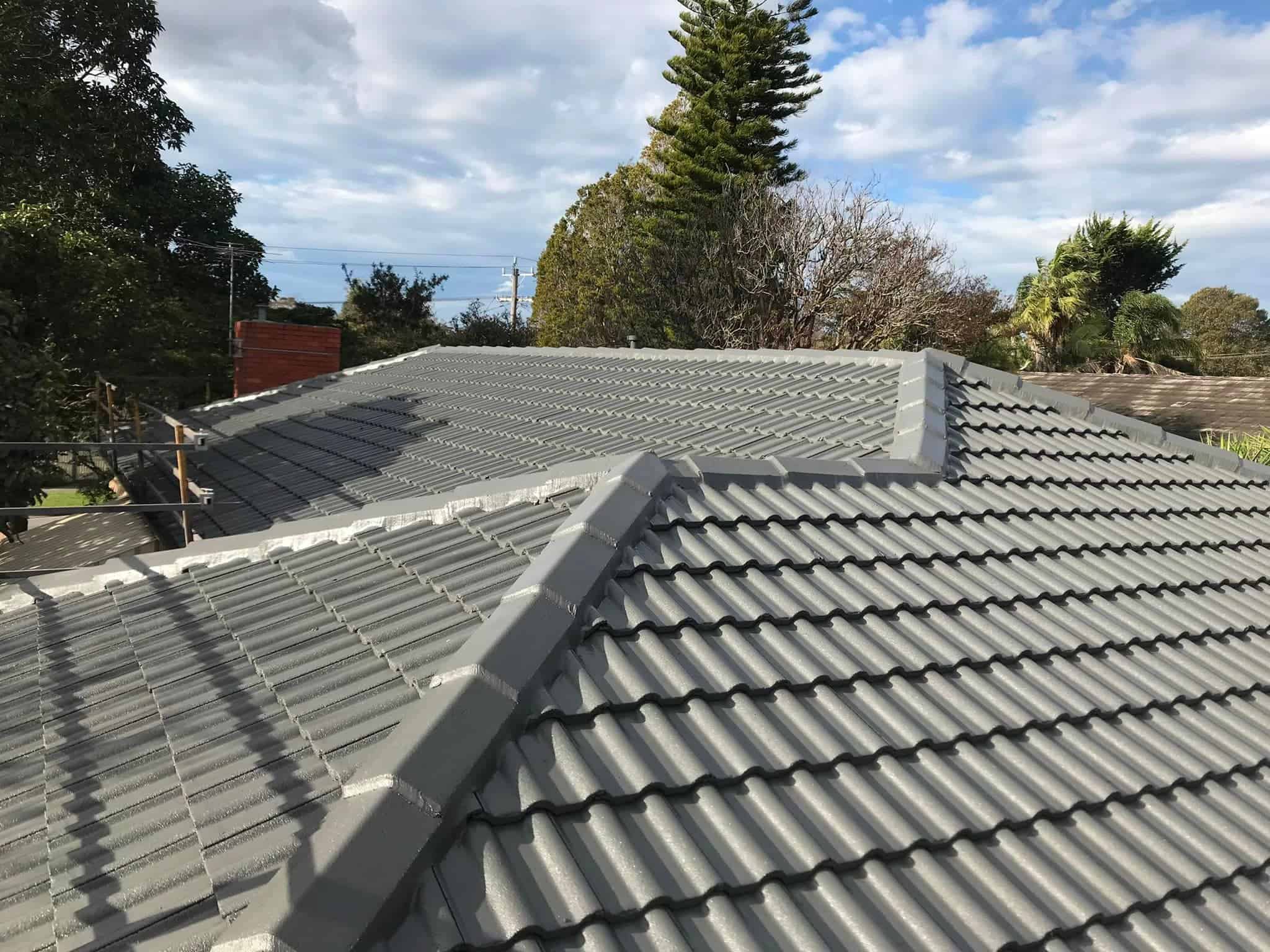 roof restorationg dandenong south