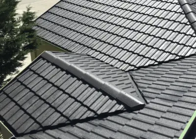 roof painting