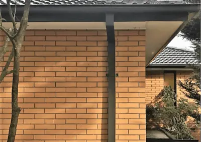 Dark gutter and downpipe