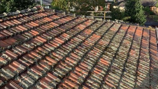 terracotta tile roof restoration before when it was mouldy