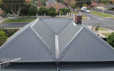 What Do Metal Roofing Specialists Do?