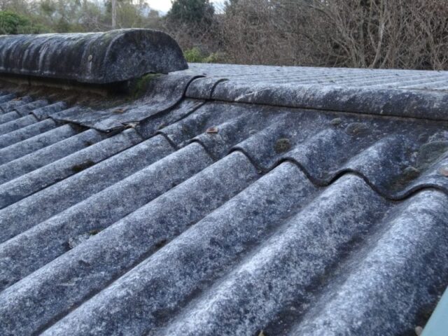 asbestos roof removal service